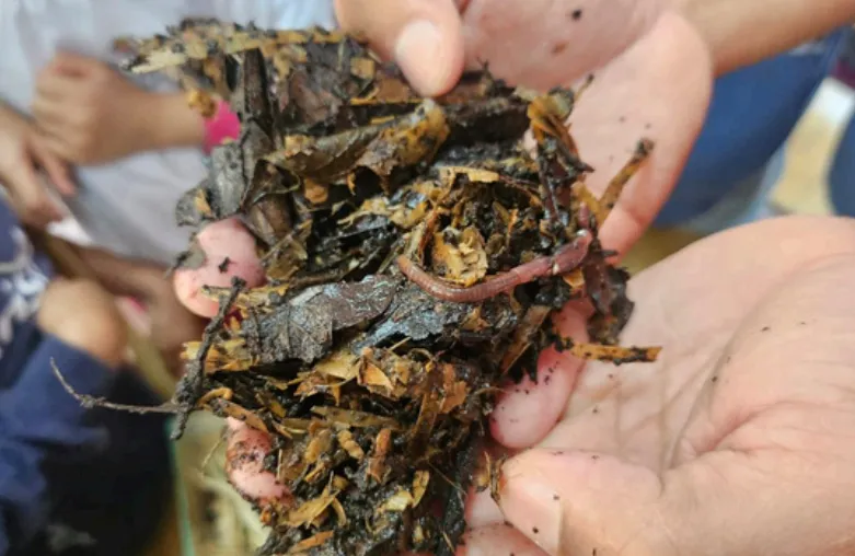 Foto: Divulgação / Estudantes brasileiros promovem ações para investigar as mudanças climáticas