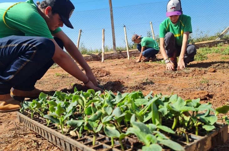 Adaptações e mudanças marcam ano letivo da EE Professor Ezequiel Balbino, em Anaurilândia