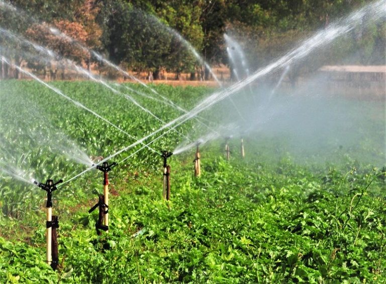 Comissões debate impacto da estiagem nas ações de irrigação