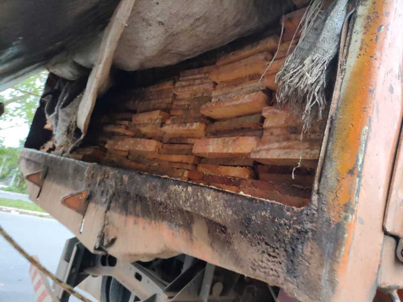 Batalhão Ambiental da PMAM apreende madeira ilegal na BR-319