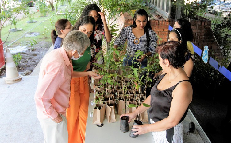 Semarh distribui mudas nativas do Cerrado em alusão à Semana do Meio Ambiente