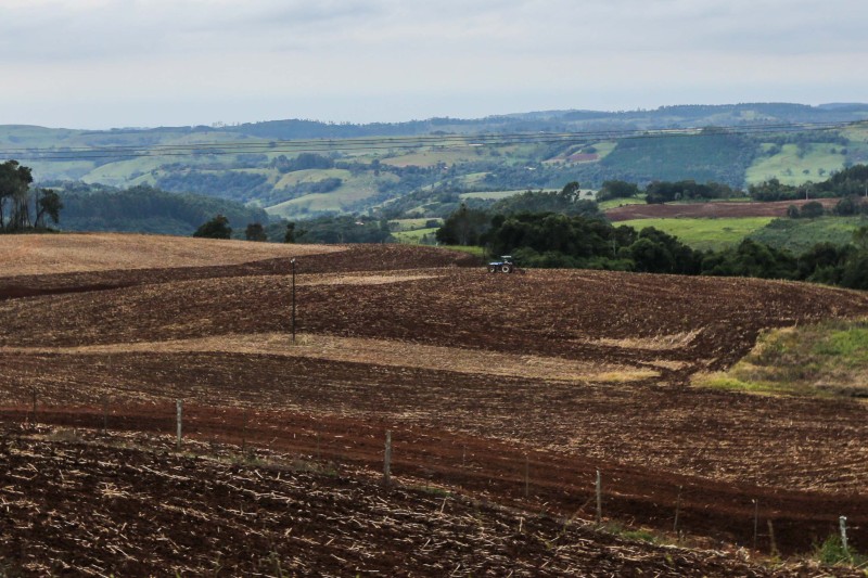 Vazio sanitário da soja começa em 10 de junho no Paraná