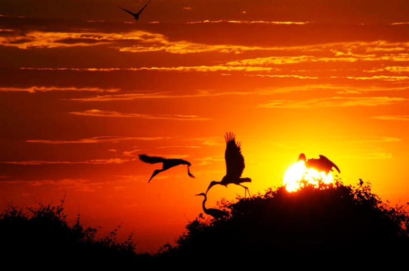 Subcomissão do Pantanal vai promover audiência pública em Cuiabá