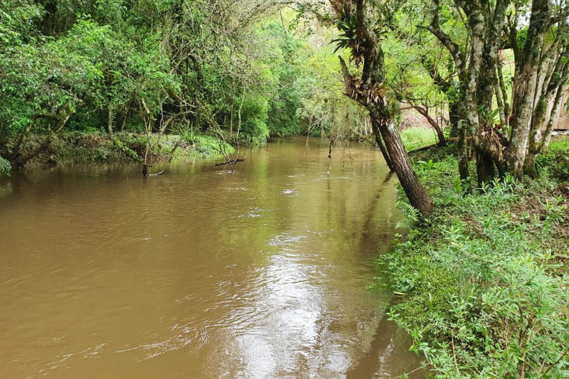 IDR-Paraná incentiva pesquisas sobre agricultura sustentável e proteção ambiental
