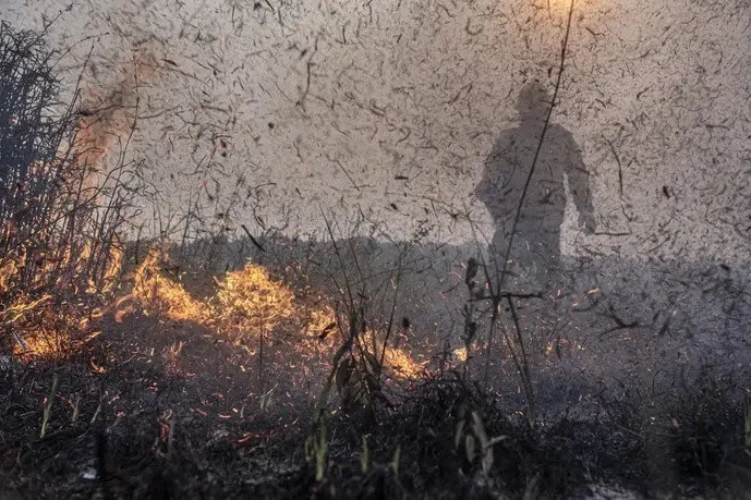 Governo do Brasil aprova R$ 45,2 milhões para ajudar o Amazonas.