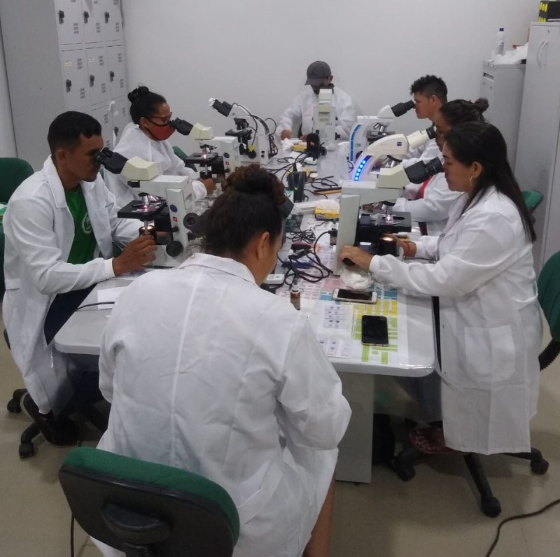 Em Manicoré e Codajás, FVS-RCP realiza treinamento em hemoparasitas para reduzir tempo de diagnóstico de doenças