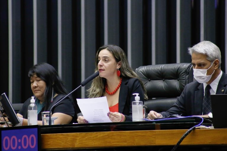 Deputados lançam manifesto contra votação de propostas que prejudicam o meio ambiente