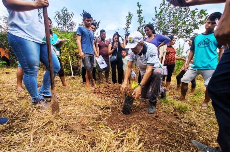 Em parceria com Ciama, Idam ministra curso de boas práticas de manejo do açaí em Benjamin Constant