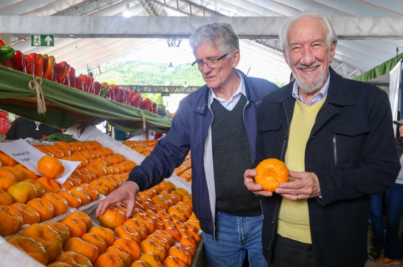 Piana destaca atuação do Estado para impulsionar a produção de ponkan em Cerro Azul