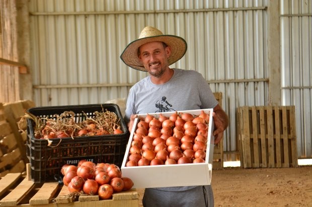 Balanço Social: cada real investido na Epagri são gerados R$ 9,31 para a sociedade