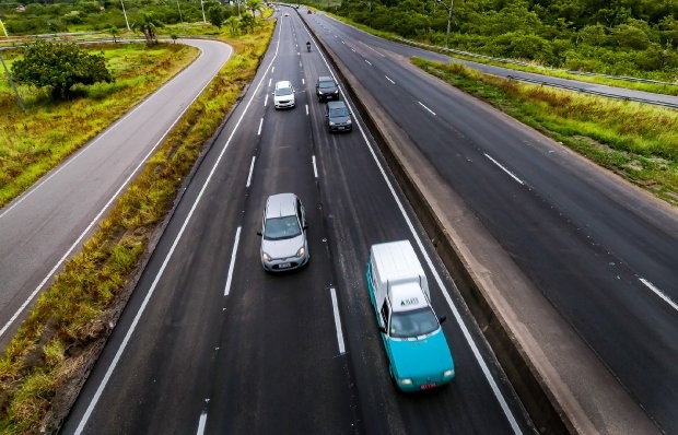 Procon notifica concessionária de rodovias por morte de cachorro atropelado 