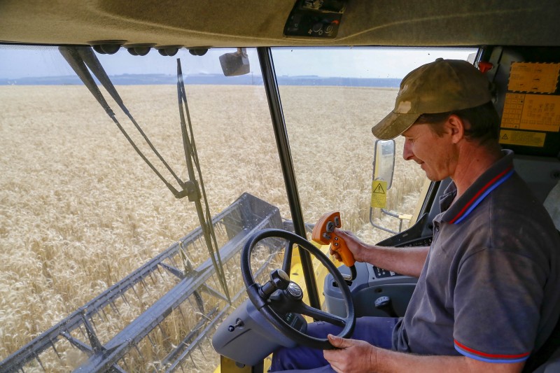Colheita da 2ª safra de milho começa no Paraná; previsão é de 16 milhões de toneladas