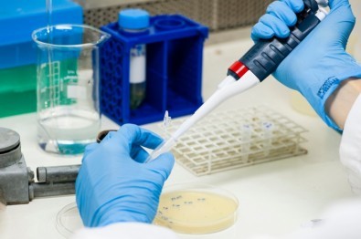 Pesquisadores cultivam o vírus monkeypox em células e distribuem amostras