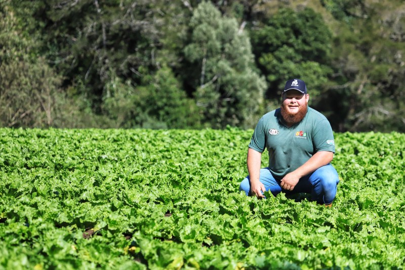 Projetos de transferência de renda para a agricultura familiar serão ampliados no Paraná