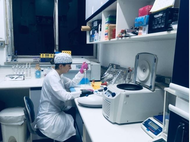 Avançam tratamentos contra o câncer que modificam geneticamente células de defesa