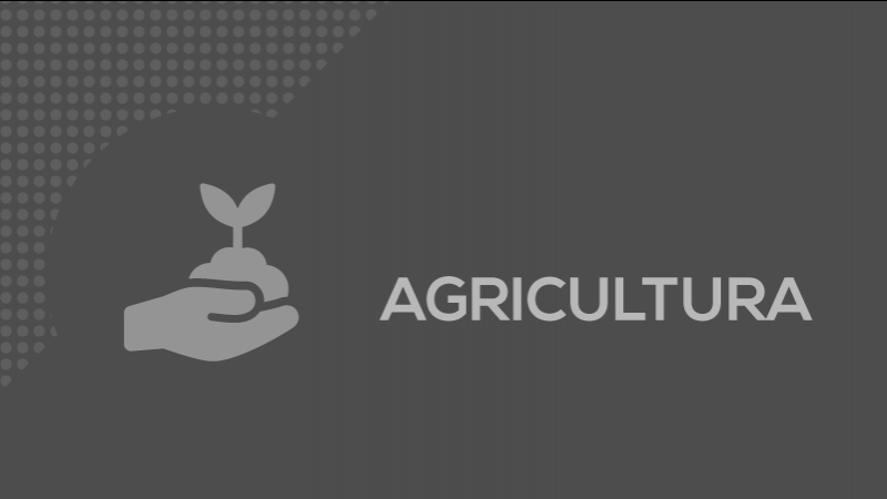 Termina em julho prazo de envio de documentação para programa Bolsa Juventude Rural