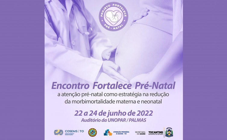 SES-TO promove encontro para fortalecer a realização do pré-natal