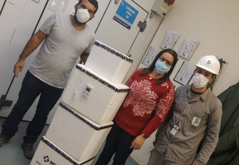 Bataguassu recebe 15 mil doses de vacina contra vírus Influenza do Instituto Butantan; Imunização de toda população começa sexta-feira (24)