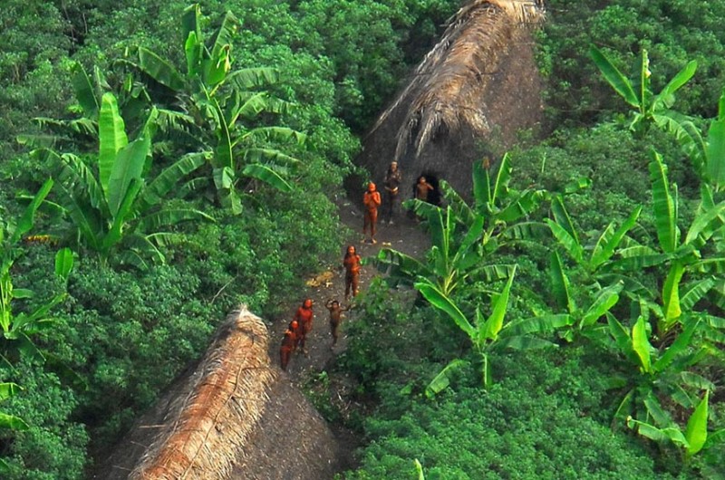 CDH e comissão que investiga crimes na Amazônia ouve indígenas e Funai