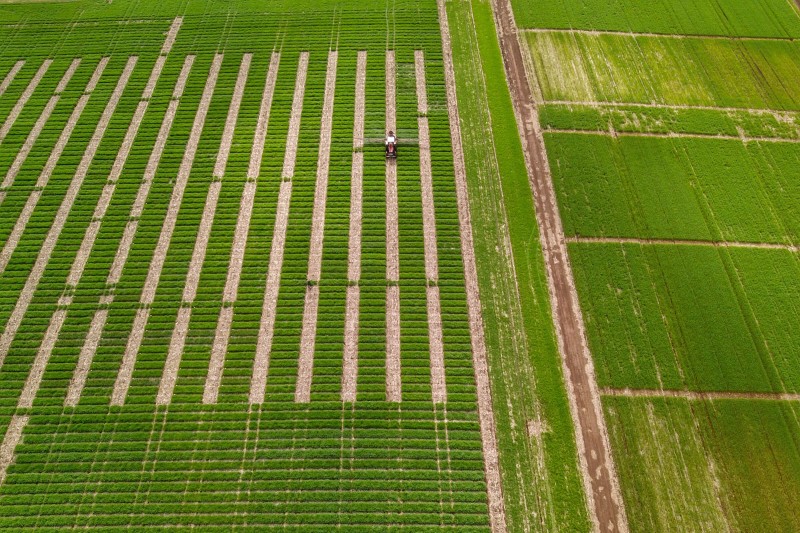 Nota técnica da Adapar alerta sobre suspensão do agrotóxico carbendazin