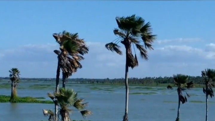 Lagoa da Precabura será uma Unidade de Conservação estadual
