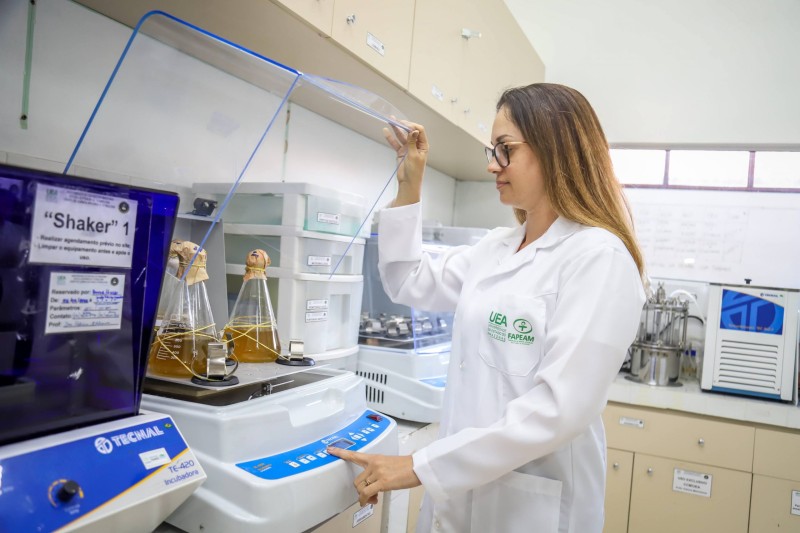 Estudo apoiado pelo Governo do Amazonas investiga uso de amido de mandioca aliado a fungos amazônicos no tratamento de câncer