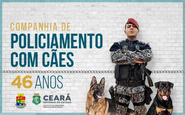 Conheça histórias de cães e de seus treinadores policiais militares