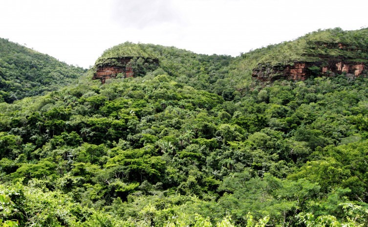 Governo do Tocantins cria Grupo de Trabalho para planejar transação de créditos de carbono