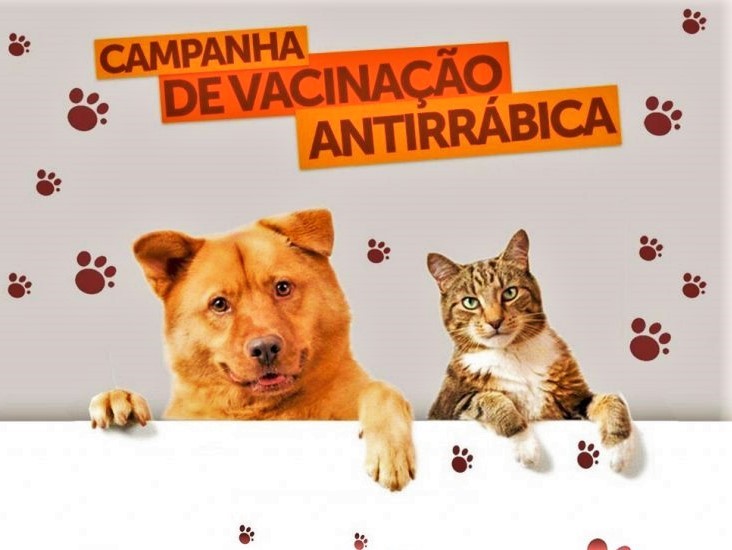 Vacinação contra a raiva em cães e gatos começou na zona rural nesta segunda-feira