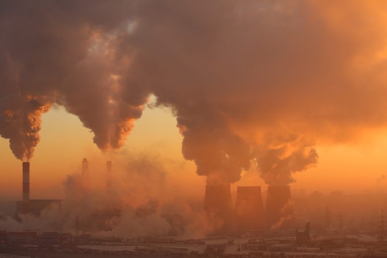 Comissões debatem fundo de investimentos para financiar projetos de crédito de carbono