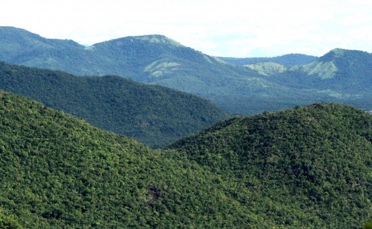 Fundo Nacional sobre Mudança do Clima está com edital aberto para mitigação dos gases de efeito estufa 