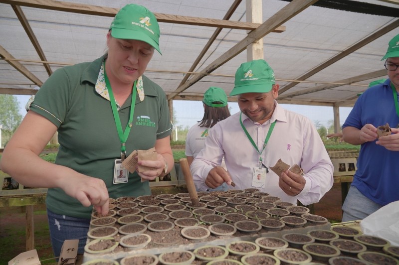 Sementes doadas para reflorestamento são plantadas pela Secretaria de Meio Ambiente
