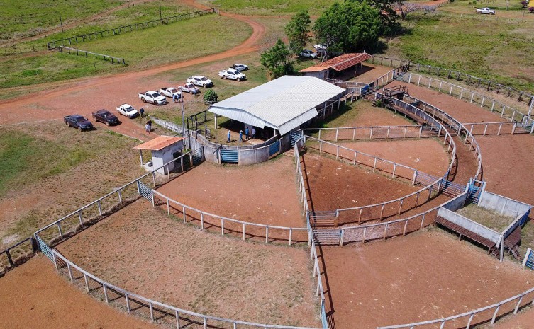 Em cinco dias percorrendo propriedades rurais, Rota da Pecuária encerra difusão de tecnologia para gado de corte na região sul do Estado