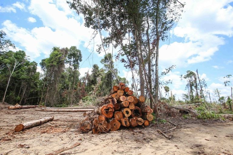 Ministro do Meio Ambiente fala sobre desmatamento na Amazônia na quarta
