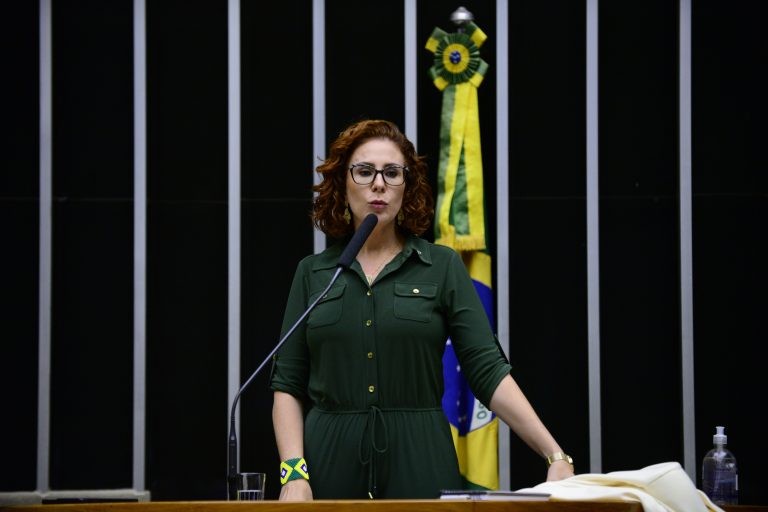 Projeto dá anistia a crimes de natureza política praticados desde 2019