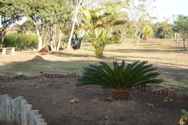 Secretaria Municipal do Meio Ambiente mantém serviço de manutenção no Parque das Bateias