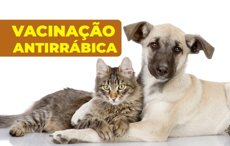 Ação de vacinação contra raiva nos residenciais Campo, Lagoa Azul II e Parque das Flores nesta sexta-feira