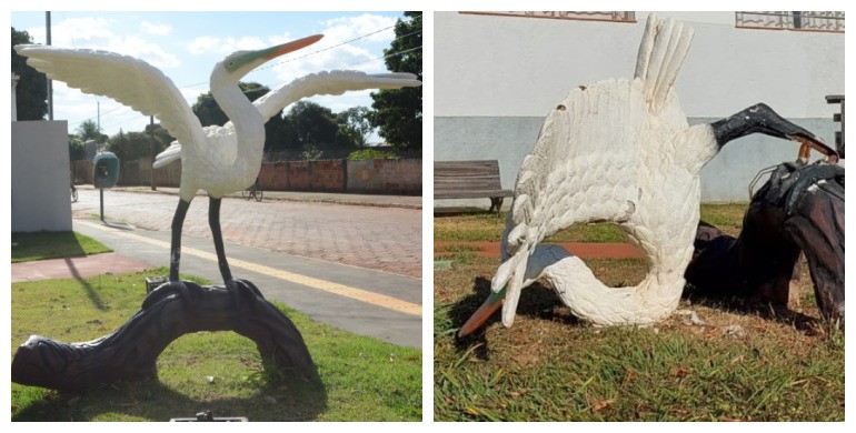 Prefeitura de Bataguassu busca artista plástico para restaurar Tuiuiú do Museu Municipal “Helena Meirelles”