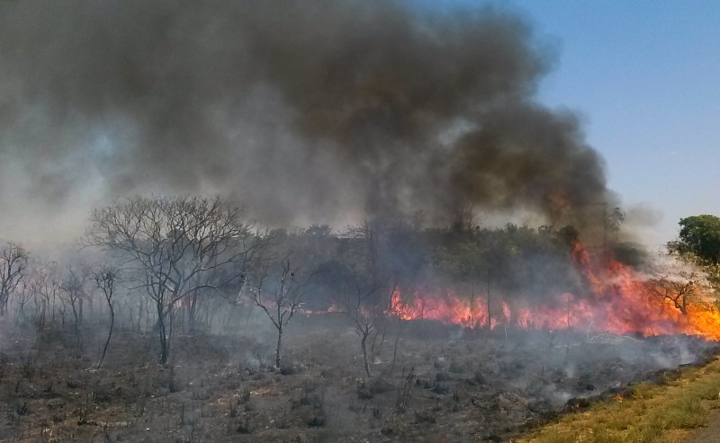 Plano ABC+ entra em vigor em setembro e vai reduzir emissão de carbono