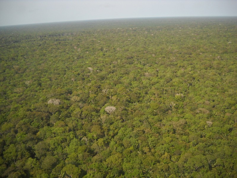 Debate propõe soluções e gerenciamento de recursos da Amazônia