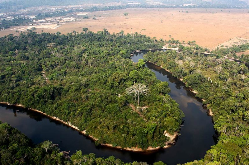 Senado vai debater mudanças climáticas e desafios para a COP 27