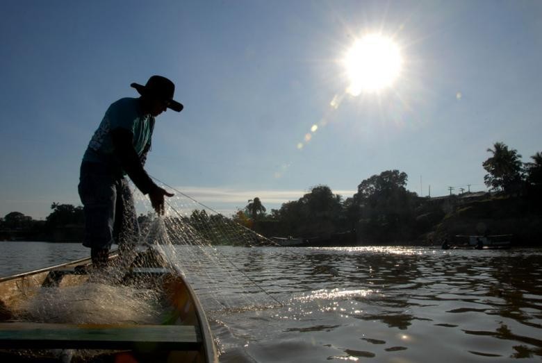 Entra em vigor período de defeso do cherne, peixe-batata e piramutaba