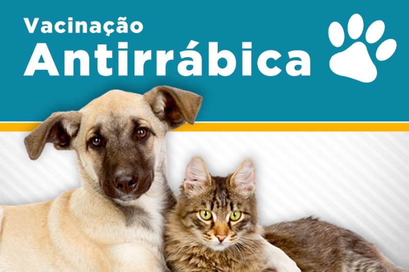 Vacinação contra a raiva para cães e gatos será neste sábado na zona urbana
