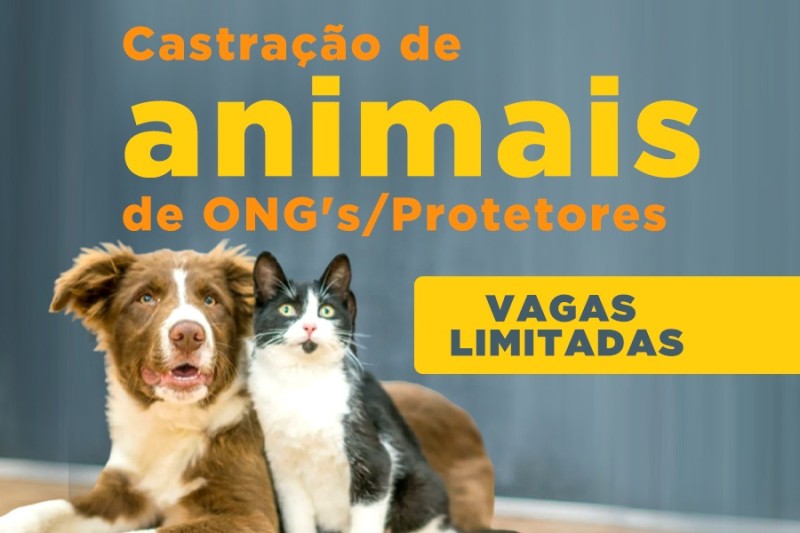 Secretaria Municipal de Saúde e UniFTC farão castração de animais acolhidos por ONGs e protetores