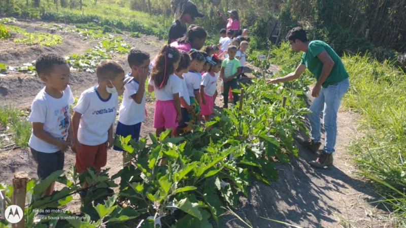 Alunos do Centro de Educação Tia Zaza tiveram aula prática sobre alimentação saudável na horta comunitária da Uesb