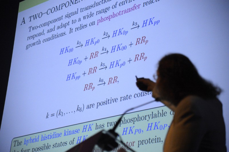 Encontro debate ensino atraente e criativo da matemática