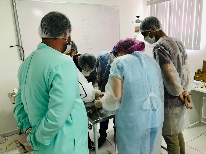 Em parceria com a UniFTC, Prefeitura retoma ação de castração de animais acolhidos por ONGs e protetores