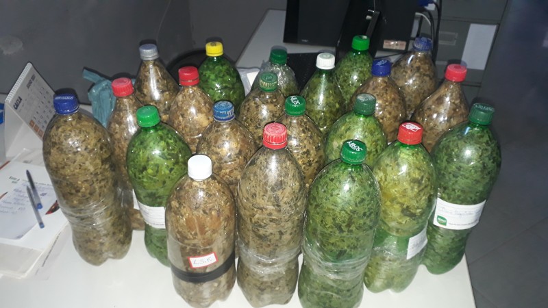 Projeto da Emater-MG ajuda a melhorar produtividade dos rebanhos na Zona da Mata