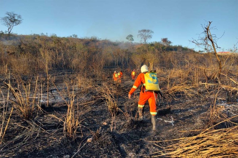 Brigadistas apagam incêndios na Serra do Periperi e no Parque Ambiental. Só este ano já foram mais de 100 focos