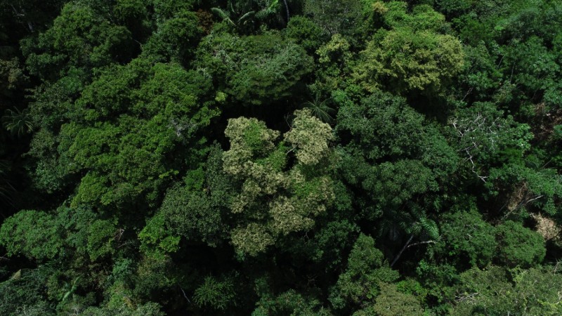 Governo do Acre avança nas políticas de internalização de ativos ambientais